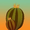 Pair of cactus dry green on terracotta background