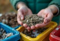 Sustainable Recycling and Composting: Hands Holding Rich Organic Soil Royalty Free Stock Photo