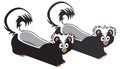 Skunk Slippers Royalty Free Stock Photo