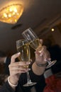 Pair of champagne flutes Royalty Free Stock Photo