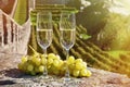 Pair of champagne glasses Royalty Free Stock Photo