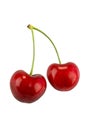 Pair of cherries Royalty Free Stock Photo