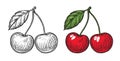 Pair of cherries. Hand drawn fruit isolated vector illustration Royalty Free Stock Photo