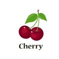 Pair of cherries, isolated vector Royalty Free Stock Photo