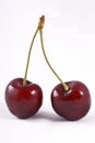 Pair of cherries with tails on a white background Royalty Free Stock Photo