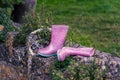 Pink glittery welly boots on a wall