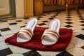 a pair of classic hotel slippers on a luxurious bath mat