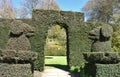 A pair of clipped topiary dogs