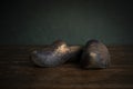 A pair of clogs or wooden shoes typical for the Dutch culture in a stillife setting, Holland or The Netherlands Royalty Free Stock Photo