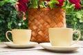 Coffee Cups with Blurry Basket Roses in the Backdrop