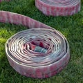 Pair of coiled firehose on sunlit grassy ground