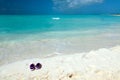 Pair of colored sandals on a white sand beach Royalty Free Stock Photo