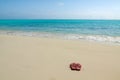 Pair of colored sandals on a white sand beach Royalty Free Stock Photo