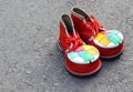 A pair of colorful clown shoes