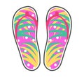 Pair of Colorful Flip-Flops Flat Vector Icon Royalty Free Stock Photo