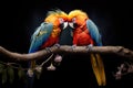 a pair of colorful parrots sitting on a branch, facing each other Royalty Free Stock Photo