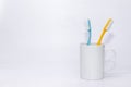 A pair of colourful tooth brusher kept inside a white cup Royalty Free Stock Photo