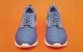 pair of comfortable sport shoes. sporty blue sneakers. shoes on orange background. Royalty Free Stock Photo