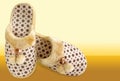 Pair of cozy and warm slippers Royalty Free Stock Photo