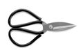 Pair of craft scissors on white Royalty Free Stock Photo