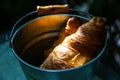 Pair of croissants in a tin bucket lit by strong morning sun li Royalty Free Stock Photo