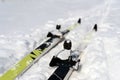 Pair of Cross Country Skies on Snow Royalty Free Stock Photo