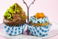 Pair of cupcakes Royalty Free Stock Photo