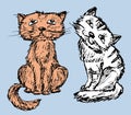 A pair of the cute drawn cats Royalty Free Stock Photo