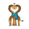 A pair of cute giraffes in love with a common scarf. Neck curved in the shape of heart.