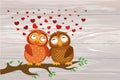 A pair of cute owlet sitting on a branch. Owls in love hearts ar Royalty Free Stock Photo