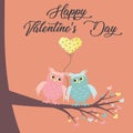 A pair of cute owls in love is sitting on the branch. A balloon in the form of a heart is between them