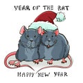 A pair of cute rats in a santa claus hat. Vector New Year greeting card. 2020 -year of the rat