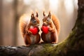 Cute squirrels holding red hearts in forest