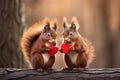 Pair of cute squirrels holding red hearts