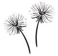 A pair of dandelions vector or color illustration Royalty Free Stock Photo