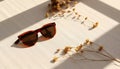 Stylish sunglasses and dried flowers bathed in warm sunlight with gentle shadow patterns Royalty Free Stock Photo