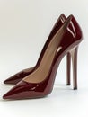 Pair of dark red leather high heel shoes. Royalty Free Stock Photo