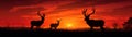 A pair of deer silhouetted against a fiery sunset