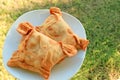 A Pair of Delectable Empanadas, Chilean Savory Stuffed Pastry