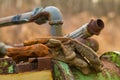 Dirty Construction Gloves on Heavy Equipment