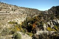 A Pair of Distant Sinagua Cliff Homes Royalty Free Stock Photo