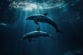 a pair of dolphins playing in sunrays underwater. World aquatic Animal day Royalty Free Stock Photo