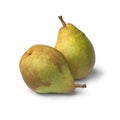 Pair of  Doyenne du Comice pears Royalty Free Stock Photo