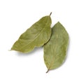 Pair of dried laurel bay leaves Royalty Free Stock Photo
