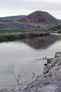 Pair of Ducks swimming in the Bighorn River near Thermopolis Wyoming