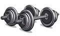 Pair of dumbbells