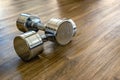 A Pair of Dumbells in a Sport Fitness