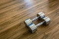 A Pair of Dumbells in a Sport Fitness