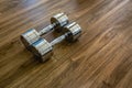 Pair of Dumbells in a Sport Fitness Room