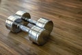 Pair of Dumbells in a Sport Fitness Room